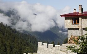 Serinyer Dağ Evi